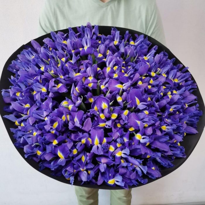 Букет «101 ирис», фото 4